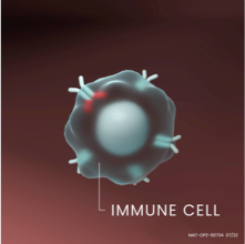 Part 1 of the Eczema Mechanism of Action video