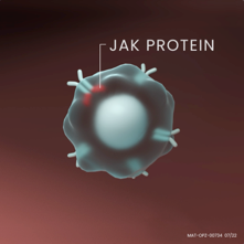 Part 3 of the Eczema Mechanism of Action video